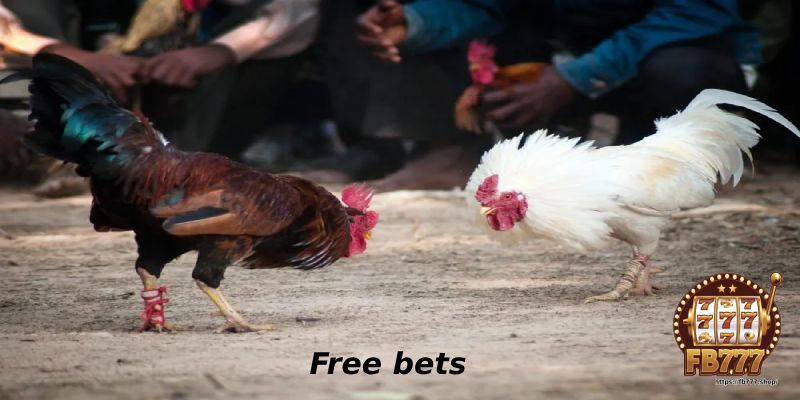 Free bets