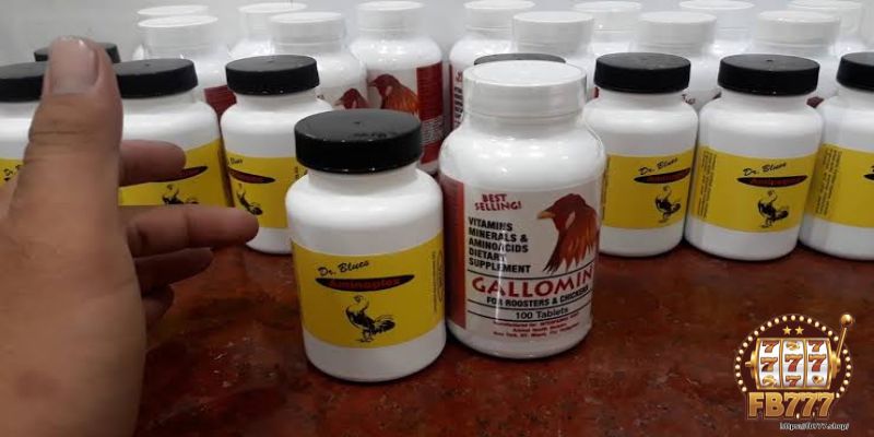 Care for fighting cocks - Calcium and vitamin supplements