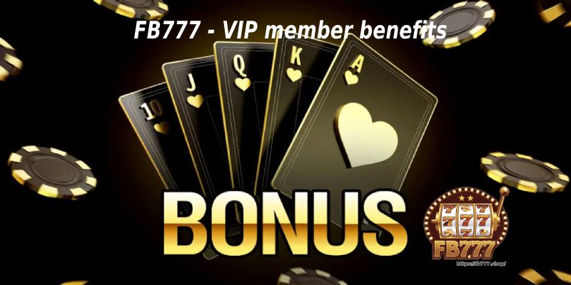 VIP member benefits