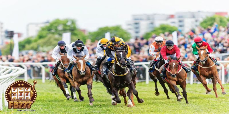 What is horse racing betting?