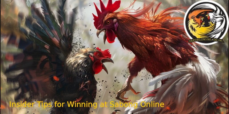 Insider-Tips-for-Winning-at-Sabong-Online