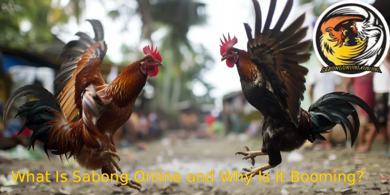 What-Is-Sabong-Online-and-Why-Is-It-Booming