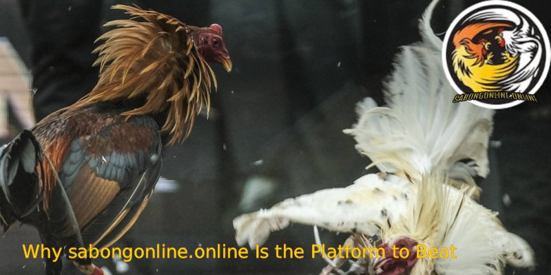 Why-sabongonline.online-Is-the-Platform-to-Beat